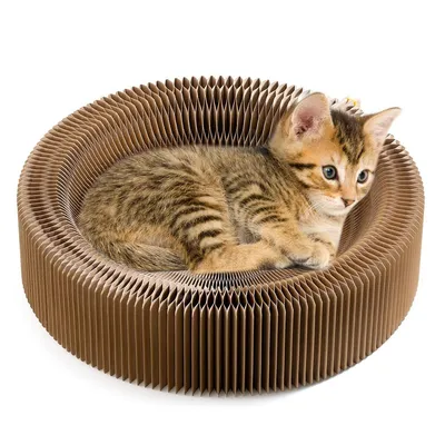 Produktbild von Magic Organ Katzenkratzbrett, Katzenball-Abenteuer, das ultimative interaktive mentale und körperliche Training für Hauskatzen, Spielzeug