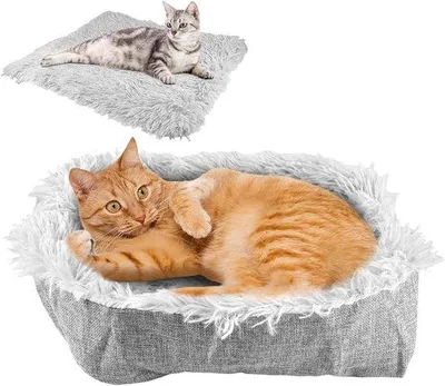 Produktbild von Famanu Katzenbett 2-in-1, Waschbar, 61 x 51 cm, Komfortable Katzenbank, Graues Design