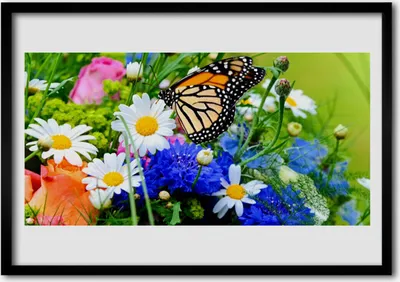 Produktbild von Bild 100x70 MDF-Rahmen Wandkunst Blumen Pflanzen Natur