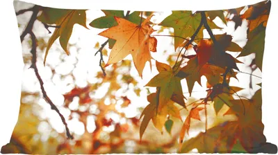 Produktbild von MuchoWow® Zierkissen Sofakissen Wohnzimmer Dekokissen 50x30 cm Natur - Herbstblätter - Rustikal - Wohnzimmerdekoration - Polster mit Photo