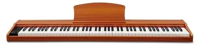 Immagine prodotto di Pianoforte digitale universale con porta USB per il software musicale