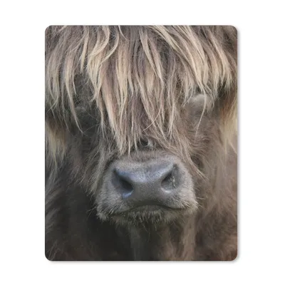 Produktbild von MuchoWow® Mauspad Mousepad Schottischer Highlander - Braun - Nase 30x40 cm - Mousepads - Maus Mat - Pad - Mausunterlage - Mausmatten