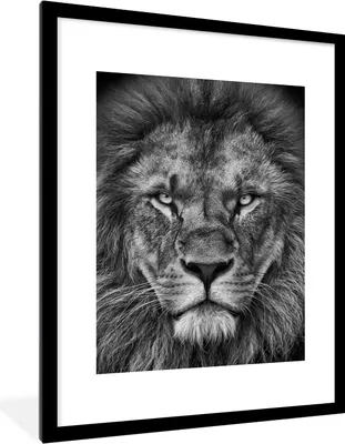 Produktbild von MuchoWow® Gerahmtes Poster Tiere - Löwe - Schwarz - Weiß - Porträt 60x80 cm - Poster mit Schwarzem Bilderrahmen Wandposter Rahmen Foto Bilder - Wohnzimmer - Dekorationen - Prämie