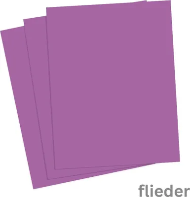 Produktbild von folia 6122/4/28 - Tonkarton 220 g/m², Bastelkarton in flieder, DIN A4, 100 Blatt, als Grundlage für zahlreiche Bastelarbeiten