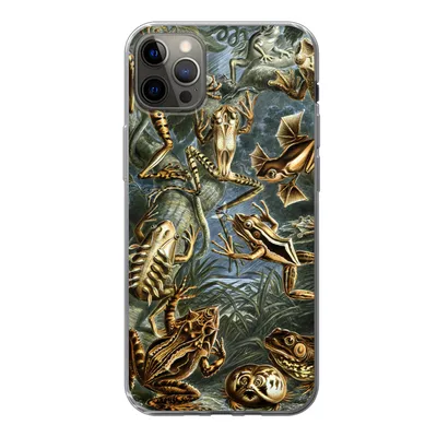 Produktbild von MuchoWow® Handyhülle Schutzhülle Hülle für iPhone 13 Pro Max Batrachia - Haeckel - Alte Meister Silikon Softcase Handy Hülle - Mobiltelefon