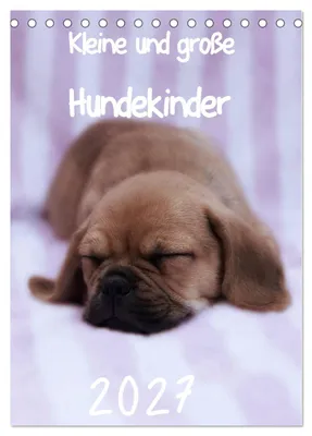 Produktbild von Kleine und große Hundekinder 2027 (Tischkalender 2027 DIN A5 hoch), CALVENDO Monatskalender
