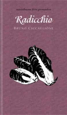 Obrázek produktu pro Radicchio