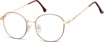 Produktbild von 2in1 Lenonki Brille für Computer BLAULICHT und Sonnenbrille PHOTOCHROME 2599D