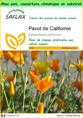 Image de SAFLAX Garden to go - Pavot de Californie - 1500 graines - Eschscholzia