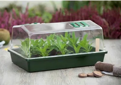 Produktbild von Keimtablett Nature Pflanzset