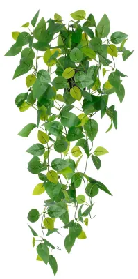 Image de Plante artificielle, plante suspendue d'aspect réaliste, lierre artificiel en pot, plante suspendue en plastique pour la décoration du salon et du bureau