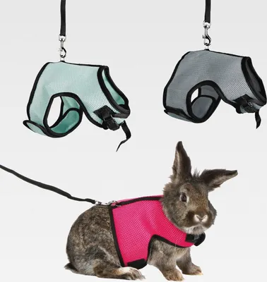 Produktbild von Softgeschirr mit Leine für Kaninchen, Nylon, 25–32 cm, 1,20 m (farblich sortiert)
