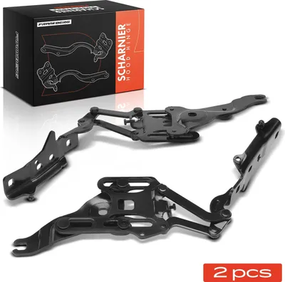 Immagine prodotto di Frankberg 2x cerniera cofano anteriore sinistro destro per BMW X5 E70 X6 E71 E72 2009-2013