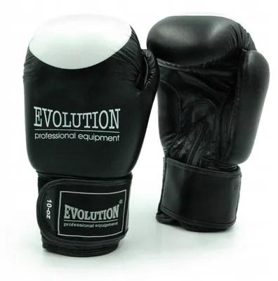 Produktbild von Evolution Boxhandschuhe Naturleder 16 oz Trainingshandschuhe