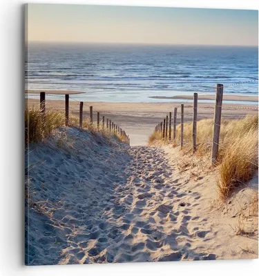 Produktbild von Bild auf Leinwand - Leinwandbild - Meer Strand Düne - 70x70cm - Wand Bild - Wanddeko - Wandbilder - Leinwanddruck - Bilder - Kunstdruck - Wanddekoration - Leinwand bilder - Wandkunst - AC70x70-3612
