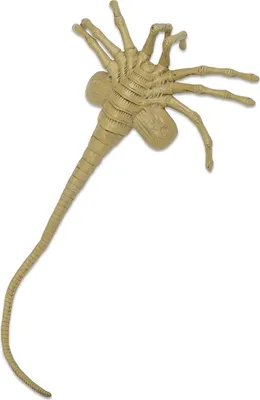 Produktbild von NECA Aliens Facehugger Replik 105 cm