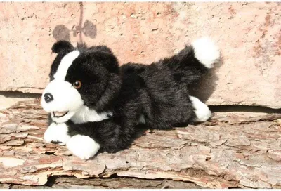 Produktbild von Anima 1613 Schweizer Sennenhund 27 cm Kuscheltier Plüschtier