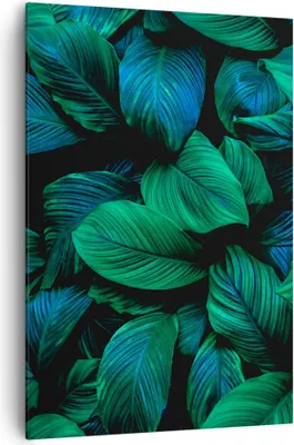 Produktbild von Bild auf Leinwand - Leinwandbild - Einteilig - Blätter Pflanzen Exotik - 70x100cm - Wand Bild - Wanddeko - Wandbilder - Leinwanddruck - Wanddekoration - Leinwand bilder - Wandbild - PA70x100-5066