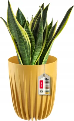 Obrázok produktu pre KADAX plastový kvetináč "Costa", s prírodnými materiálmi, kvetináče, s vložkou, 30 cm, tmavo žltá