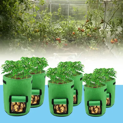 Image de Peviasot, lot de 25 sacs de plantation de 26,5 litres en feutre, avec fenêtre transparente et poignées, sacs de plantation pour pommes de terre, légumes, balcons et jardins
