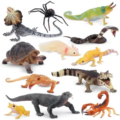 Produktbild von Toymany Reptilien 12 Teile Tierfigurern Set J-LENGMEN-10PDW1