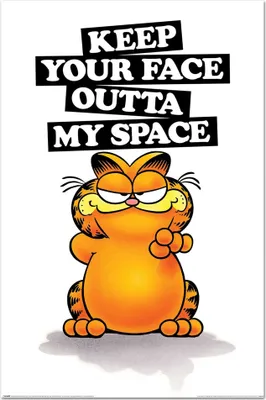 Immagine prodotto di Poster di Garfield «Keep Your Face Outta My Space» 61 x 91,5 cm