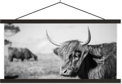 Produktbild von MuchoWow® Textilposter Schottisches Hochlandrind - Tiere - Schwarz - Weiß 150x75 cm mit schwarzem Rahmen - Posterleiste