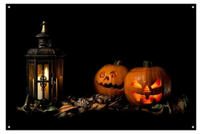Productafbeelding van Tuinposter Halloween Pompoenen met Lantaarn - 90x60 cm - Tuindecoratie Herfst - Buitenposter - Schuttingdoek - Tuindoek - Tuinposter