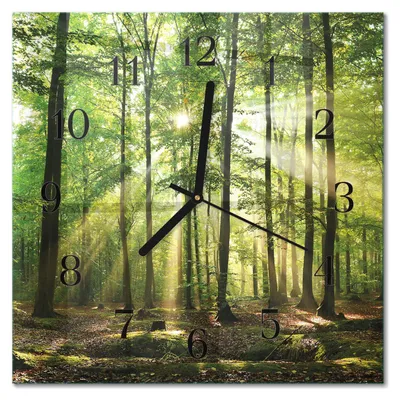 Produktbild von Tulup Glasuhr Wanduhr Küchenuhr Echt-Glas 30x30 cm Modern Dekorativ Geräuschlos Schwarzen Zeigern - Waldnatur