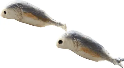 Produktbild von Ohrringe - Fisch