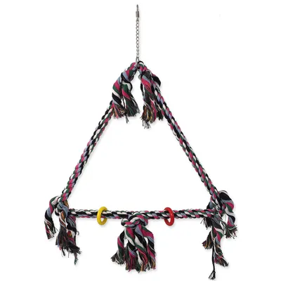 Image de Balançoire BIRD JEWEL colorée avec cordes 70 cm