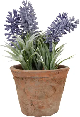 Produktbild von Esschert Design Kunst-Lavendel in AT Topf S; AH009