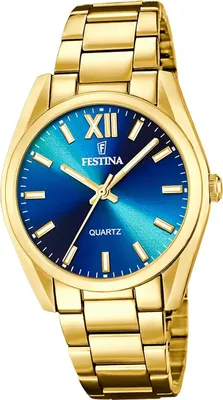 Produktbild von Festina Herren Uhr Casual Edelstahl Armbanduhr gold D2UF20640/8