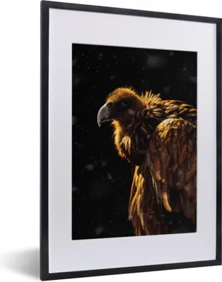 Produktbild von MuchoWow® MuchoWow® Gerahmtes Poster Geier - Vogel - Raubvogel 30x40 cm - Poster mit zchwarzem Bilderrahmen - Wandposter Schlafzimmer