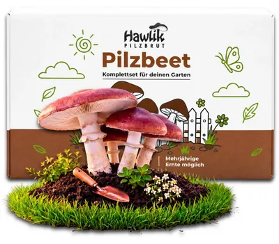 Produktbild von Hawlik Pilzbrut Braunkappe Pilzbeet-Set – Kulturträuschling Pilzzucht Garten, 20 Dübel, Pilze anbauen