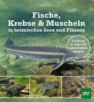 Immagine prodotto di Fische, Krebse & Muscheln in heimischen Seen und Flüssen