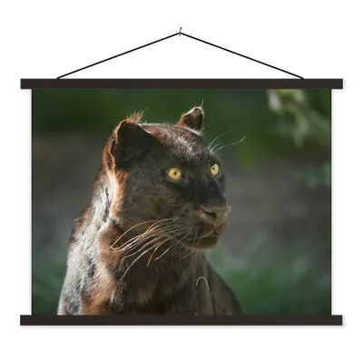 Produktbild von MuchoWow® Textilposter Panther - Nahaufnahme - Schwarz 120x90 cm mit schwarzem Rahmen - Aufhänger für Poster