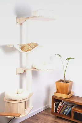 Produktbild von Wandkratzbaum Magnolia | Platzsparender Kratzbaum Zur Wandmontage | H 200 x L 112 x B 85 cm | Creme