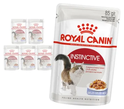 Zdjęcie produktu dla Royal Canin Instinctive FHN 6x85g Karma Mokra W Galaretce Dla Kotów Dorosłych Wybrednych