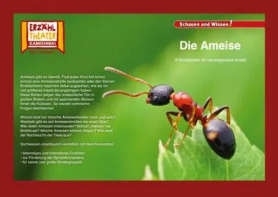 Immagine prodotto di Kamishibai: Die Ameise