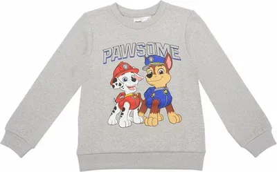 Obrázek produktu pro Cerda Group Mikina Paw Patrol Šedá 3 roky Chlapci, dívky Šedá 3 roky