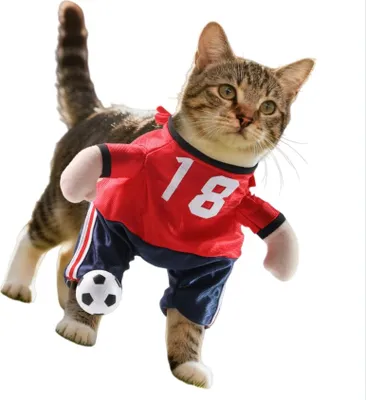 Immagine prodotto di INF Costume da Calciatore di Halloween per Animali Domestici - Divertente Abito per Feste L