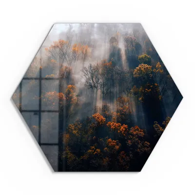 Produktbild von DEQORI Glasbild Echtglas 55x48 cm 'Herbstlicher Nebelzauber' Wandbild Bild modern Deko