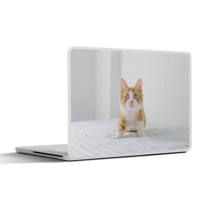 Produktbild von MuchoWow® Laptop Aufkleber Sticker Cover Kätzchen - Blau - Orange - Mädchen - Jungen - Kind 36.5x27.5 cm - Laptop-Sticker