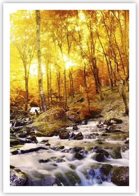 Produktbild von Poster - Poster ohne Rahmen - Berge Bach Wasser - 70x100 cm - Wand Bild - Wanddeko - Wandbilder - Kunstposter - Wandposter - Bilder - Kunstdruck - Wanddekoration - Wandbild - P2XPA70x100-3717