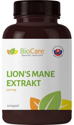 Zdjęcie produktu dla Lion's Mane – 500 mg, 60 kapsułek