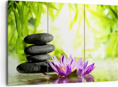 Produktbild von Bild auf Leinwand - Leinwandbild - Spa bambus blume wasser - 165x110cm - Wand Bild - Wanddeko - Leinwanddruck - Bilder - Kunstdruck - Wanddekoration - Leinwand bilder - Wandkunst - CE165x110-2477