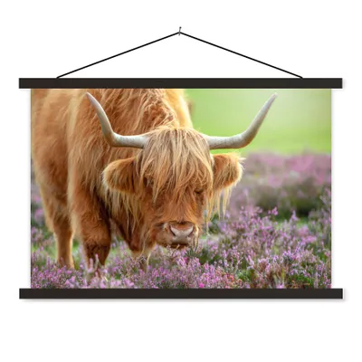 Produktbild von MuchoWow® Textilposter Schottischer Highlander - Lila - Blumen 60x40 cm mit schwarzem Rahmen - Hölzernes