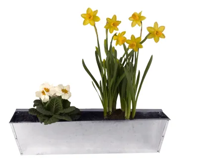 Produktbild von BigDean 2er Set Zink Paletten Blumenkästen - Einsatz 38cm groß Silber - aus Metall verzinkt - Zinkkasten Pflanzkasten Balkonkasten Blumentopf