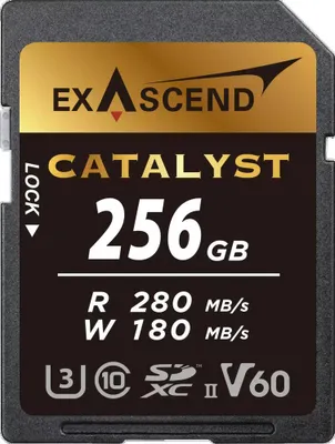 Imagen del producto de Exascend Catalyst, 256 GB, SDXC, Clase 10, UHS-II, 280 MB/s (lectura), 180 MB/s (escritura)